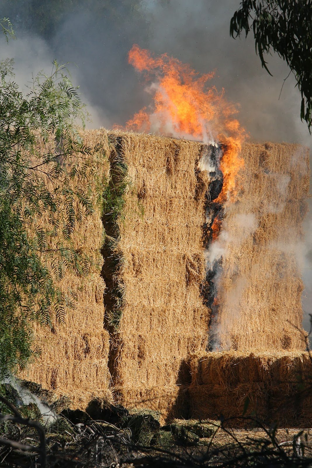hay fire7